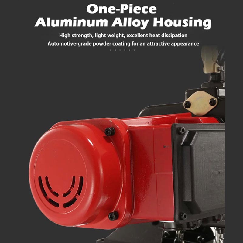 Electric Chain Hoist - Polipasto Eléctrico de Cadena de 220V